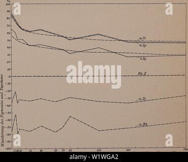 Image d'archive à partir de la page 898 du Denkschriften - Österreichische Akademie der. Denkschriften - Ãsterreichische denkschriftens Akademie der Wissenschaften911915akad Année : 1850 TJvMiimwv Winterversuch VerdimkelvjijjsÃ¤mter [Versuch .A (Kurve A)]. Fig. 4. Des EinfluÃ VurrbiTÃwlivigsdiUier Ã¼LJWiTuZteTi Lichtes auf die- 20 30 60 BeVchtiuujsdaiUT "jO alors dans iiuitat Sommerversuch [Versuch B (Kui ai B)]. Versuch C (Kurve Q.- und Pigment Tapetumvifanderung¤IntensitÃ zu erleichtern bei t en ver- schiedenen. Zeitintervallen Fig. 5. Lichtmengen Einwirkung bestimmter zwecks Feststellung der Anwendbarkeit des Hyp Banque D'Images