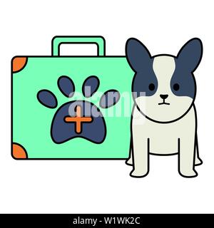 Petit chien adorable avec kit médical vector illustration design Illustration de Vecteur