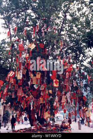 Souhaitant Lam Tsuen arbres dans des années 1980, ancien Banque D'Images