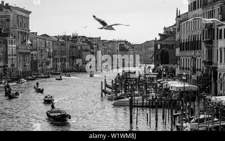 Grand canal avec gondols, à Venise, Italie. Banque D'Images