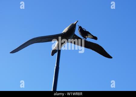 Low Angle View of une pie sur l'aile d'une sculpture de Shearwater contre un ciel bleu Banque D'Images