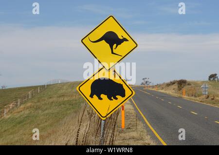 Wombat kangourous et panneau de passage à niveau sur une route de campagne australienne Banque D'Images