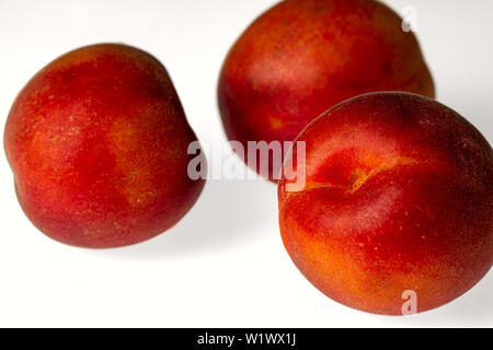 Trois abricots isolé sur fond lumineux Banque D'Images