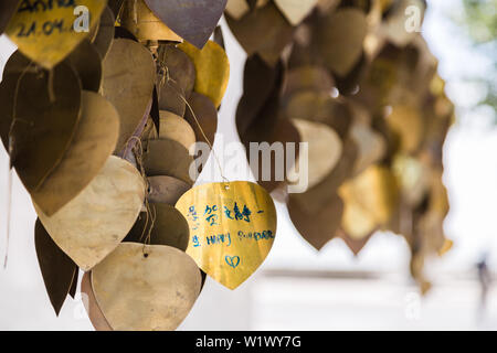 Écrire vos souhaits sur l'or Bodhi suspendus sur une tige métallique sous l'arbre. Close up de l'or les feuilles colorées de l'arbre des désirs dans le Temple Bouddhiste o Banque D'Images