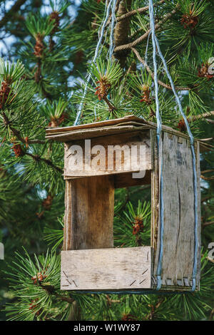 Ancienne en bois faits à la main vide mangeoire oiseau pendu à une branche d'arbre de pin s'est évanoui avec joint bleu clair string synthétique Banque D'Images