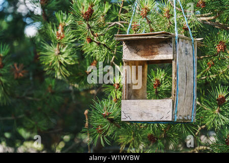 Ancienne en bois faits à la main vide mangeoire oiseau pendu à une branche d'arbre de pin s'est évanoui avec joint bleu clair string synthétique Banque D'Images