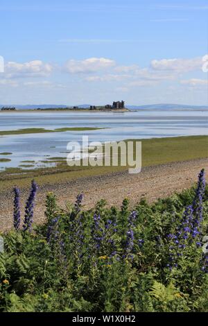 L'île de Piel Piel et château vu du Sud Walney réserve naturelle, l'île de Walney, Barrow-In-Furness, Cumbria UK en Angleterre. Péninsule de Furness de l'été. Banque D'Images