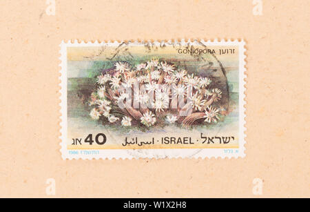 Israël - VERS 1980 : un timbre imprimé en Israël montre une plante, vers 1980 Banque D'Images