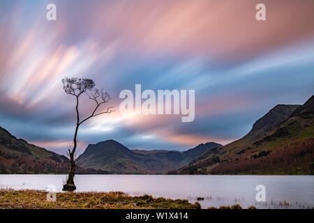 Seul arbre dans le lac avec des nuages rouges, entourée de montagnes à l'heure bleue, de la hure, Yorkshire Dales National Park, le Centre de l'Angleterre Banque D'Images