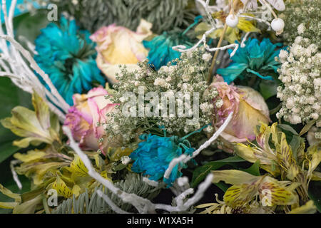 Fleurs fanées de près. Bouquet de roses rose et turquoise chrysanthèmes. Banque D'Images