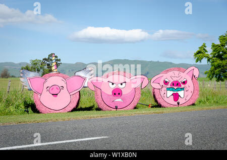 Les porcs rose fabriqué à partir de balles de foin rondes, près de Carterton, Wairarapa, île du Nord, Nouvelle-Zélande Banque D'Images