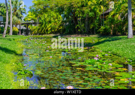 Jardin de l'eau sur l'île de Denarau Fiji Banque D'Images