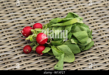 Close up of Bush de radis sur fond de table en bois Banque D'Images