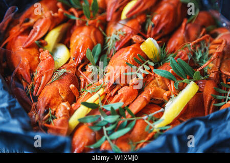 Close-up de langoustes bouillies avec du citron et vert Banque D'Images