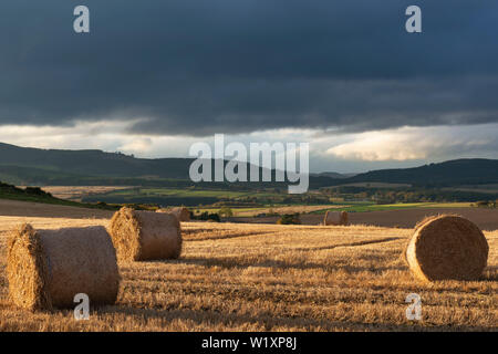 Après la récolte, les bottes de paille se situent dans un champ en vertu de l'Aberdeenshire sombres nuages en fin d'après-midi Banque D'Images