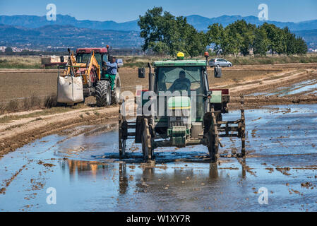 Tracteur rizicole couvert de boue, Ebro Delta, Tarragone, Catalogne,  Espagne Photo Stock - Alamy