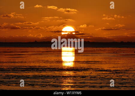 Coucher du soleil sur la mer du Nord, directement sur la plage. Ciel Orange et marée basse. Banque D'Images