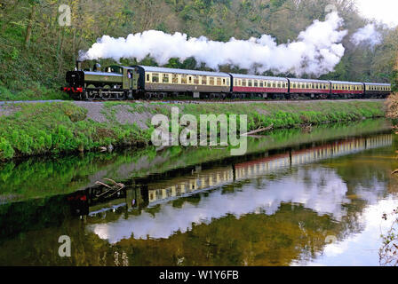 Reflété dans la rivière Dart, le char de valise GWR n° 6412 transporte le train 1025 de Totnes à Buckfastleigh., 11.04.2019. Banque D'Images