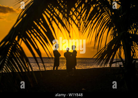 Sonnenuntergang am Strand unter Palmen am Meer, Guadeloupe, Frankreich | coucher du soleil sous les palmiers à la plage en Guadeloupe, France Banque D'Images