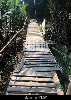 Un moyen pour se connecter à l'intérieur du village de la forêt tropicale. Le chemin de la jungle dans la nature tropicale, Thaïlande Banque D'Images