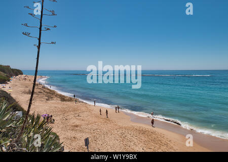 Los Caños de Meca, Cádiz, Espagne - 11 mai 2019 : premiers nageurs de la saison 2019 sur la plage de Los Caños de Meca, un lieu idéal pour passer l'été Banque D'Images