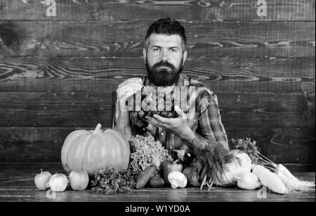 Concept de culture et de récolte. L'homme détient fond de bois barbu raisins. Récolte de chez nous avec l'agriculteur sur la table. Légumes organic harvest. Farmer fiers de récolter les légumes et les raisins. Banque D'Images