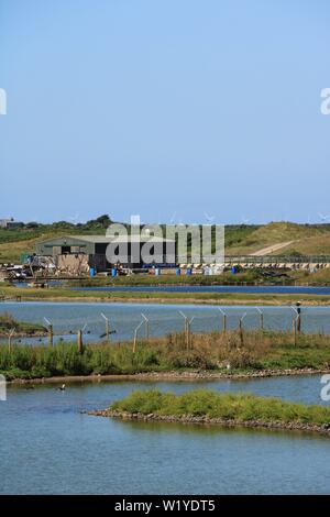 Walney ferme ostréicole sur South Walney, réserve naturelle de l'île de Walney, Barrow-In-Furness, Cumbria, Péninsule de Furness, UK, en Angleterre. Banque D'Images