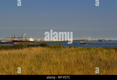 Port de Rotterdam, Pays-Bas - 2018.07.24 : bulkcarrier nightkiss ( OMI no 9696113 ) Exercice de minerai de fer pour l'industrie sidérurgique allemande à eecv / ertso Banque D'Images