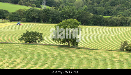 Un agriculteur coupe l'herbe dans les champs de Baildon, Yorkshire. Banque D'Images