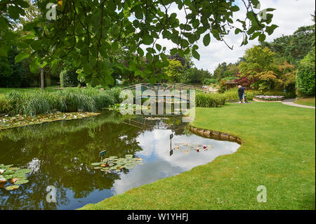 Burnby Hall Gardens, une partie de la Collection nationale de nénuphars Banque D'Images