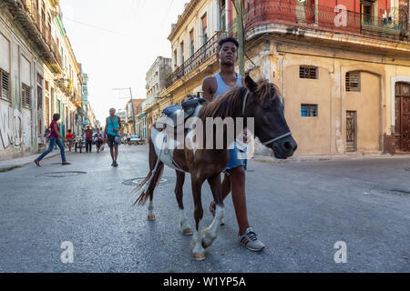 La Havane, Cuba - Mai 27, 2019 : les jeunes garçons cubains d'adolescent avec un peu de cheval dans les rues de la vieille ville de La Havane, capitale de Cuba, au cours d'un brillant et Banque D'Images