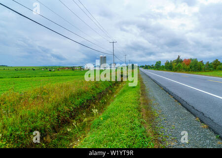 Vue sur campagne et vaches dans Saint-Michel-de-Bellechasse, Québec, Canada Banque D'Images