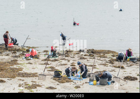 Les femmes et les hommes, des fruits de mer shellfishers d'asile, la collecte de fruits de mer, à O Grove, Pontevedra, Espagne Banque D'Images