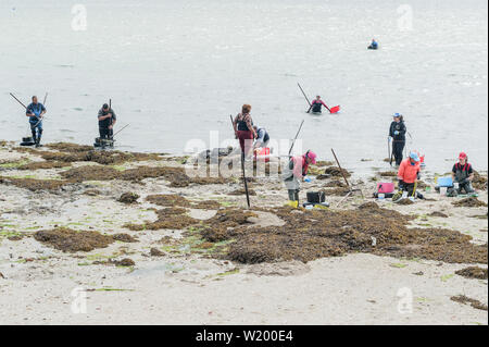 Les femmes et les hommes, des fruits de mer shellfishers d'asile, la collecte de fruits de mer, à O Grove, Pontevedra, Espagne Banque D'Images