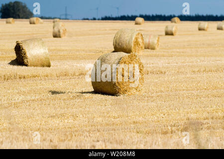 Grimmen, Allemagne. 07 juillet, 2019. Peu de temps après la récolte, les balles de foin se trouvent sur un champ de céréales récoltées. La moisson a commencé dans la région de Mecklembourg-Poméranie-Occidentale. Credit : Stefan Sauer/dpa-Zentralbild/ZB/dpa/Alamy Live News Banque D'Images