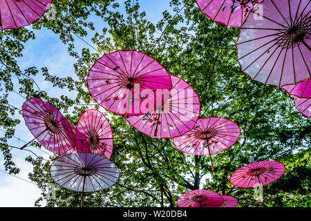 Decorative art moderne de parapluies asiatiques suspendues à des arbres dans la belle Yaletown de Vancouver, British Columbia, Canada Banque D'Images