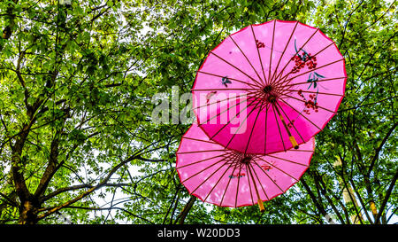 Decorative art moderne de parapluies asiatiques suspendues à des arbres dans la belle Yaletown de Vancouver, British Columbia, Canada Banque D'Images