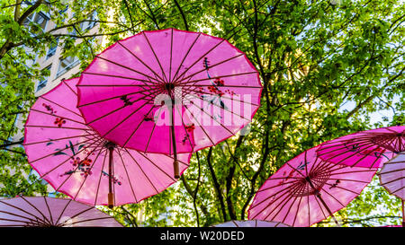 Decorative art moderne de parapluies asiatiques suspendues à des arbres dans la belle Yaletown de Vancouver, British Columbia, Canada Banque D'Images