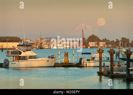 Mt Baker et Steveston Lune. La Lune se levant sur le port de Steveston à côté de Mount Baker. La Colombie-Britannique, Canada. Banque D'Images