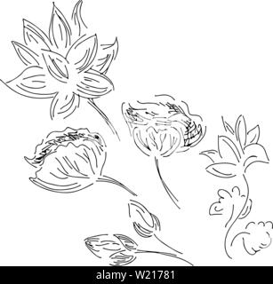 Résumé à la main ensemble de fleurs de lotus isolé sur fond blanc. Vector illustration. Contours lotus collection d'éléments Illustration de Vecteur