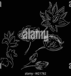 Résumé à la main ensemble de fleurs de lotus isolé sur fond noir. Vector illustration. Contours lotus collection d'éléments Illustration de Vecteur