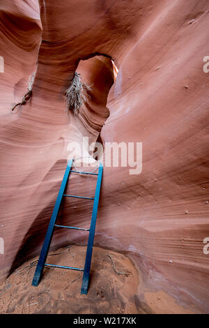 Dans l'emplacement de l'échelle en Canyon Page en Arizona Banque D'Images