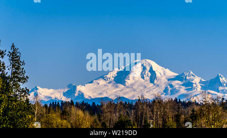 Le mont Baker, un volcan dormant dans l'État de Washington vue de Glen Valley près d'Abbotsford en Colombie-Britannique, Canada sous un ciel d'hiver bleu clair Banque D'Images