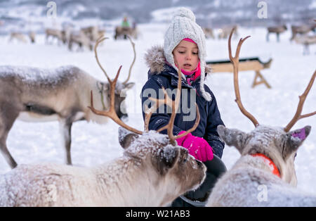 Petite fille dans un hiver chaud alimentation veste hiver rennes dans la région de Tromso, Norvège du Nord, Banque D'Images