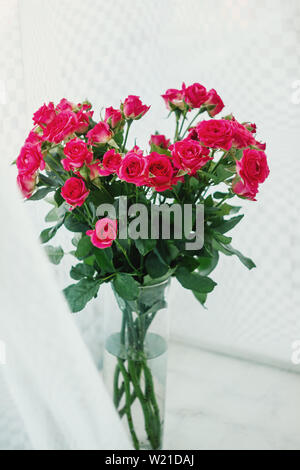 Contexte des nombreux peu délicates roses roses. Banque D'Images