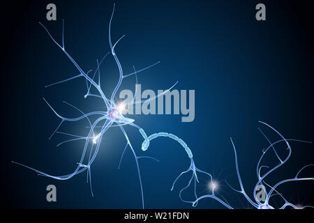 Anatomie des cellules nerveuses dans les détails. 3D illustration Banque D'Images