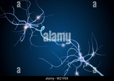 Anatomie des cellules nerveuses dans les détails. 3D illustration Banque D'Images
