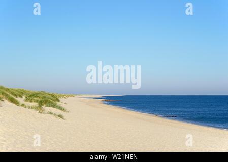 Large plage de sable blanc au coude à Liste, Sylt, le frison du Nord, mer du Nord, l'île de Frise du Nord, Schleswig-Holstein, Allemagne Banque D'Images