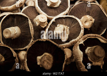 Un gros plan d'une abondance de champignons frais sur l'affichage à un décrochage du marché. Banque D'Images