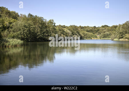 Lac à M40 Motorway Country Park près de Horsham West Sussex Banque D'Images